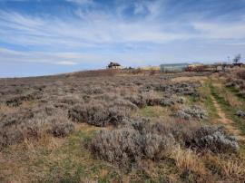 Участки, Севастополь