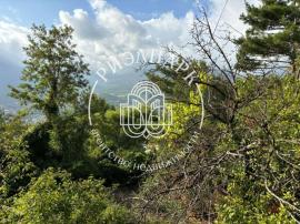 Участки, Ялта