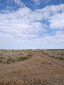 , Красноперекопск