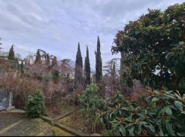 Участки, Ялта