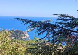 Участки, Алушта