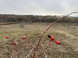 , Симферополь