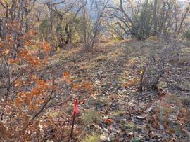 Участки, Алушта