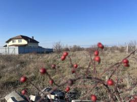 , Симферополь