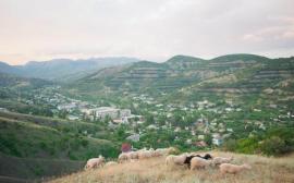 , Алушта