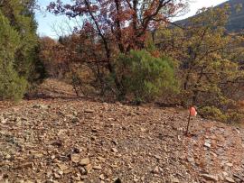 Участки, Алушта