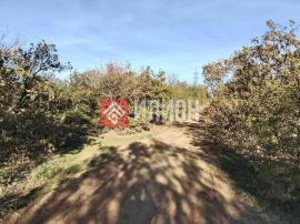 Участки, Севастополь